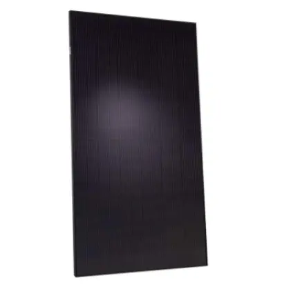 2842_QCELLS FULL BLACK